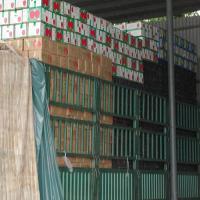 蔬菜收購與邊貿(mào)出口 農(nóng)副產(chǎn)品加工的發(fā)展機(jī)遇